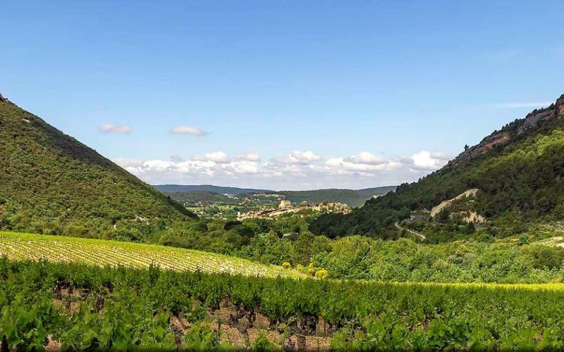 La randonnée de Mollans-sur-Ouvèze par Terra Rando à Mollans-sur-Ouvèze - 3