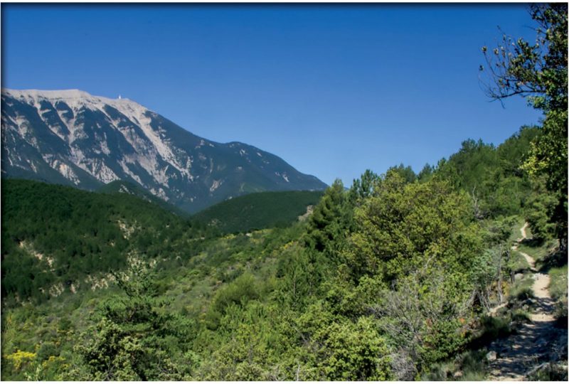 La randonnée de Savoillans par Terra Rando à Savoillans - 0