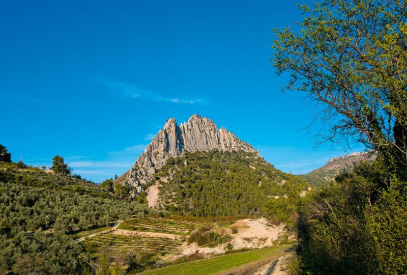 Hôtel Les Arcades – Le Lion d’Or à Buis-les-Baronnies - 12