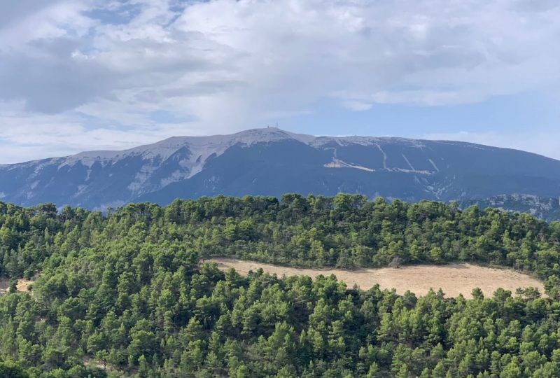 BUIS-LES-BARONNIES – Le Saint-Julien à Buis-les-Baronnies - 1