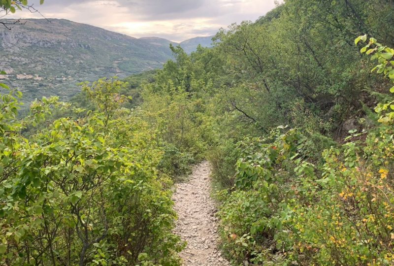 BUIS-LES-BARONNIES – Le Saint-Julien à Buis-les-Baronnies - 2