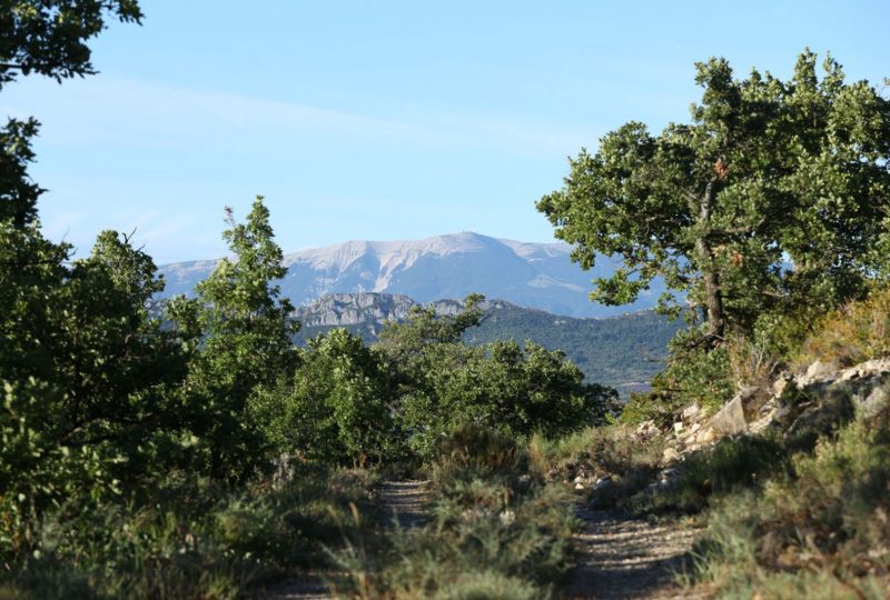 Pause Trail à Le Poët-Sigillat - 0