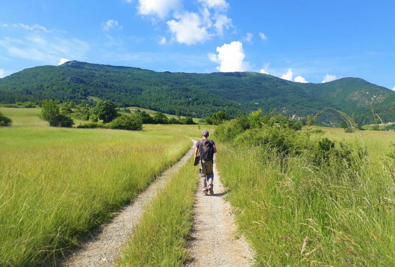 Tour du Riable à Lachau - 0