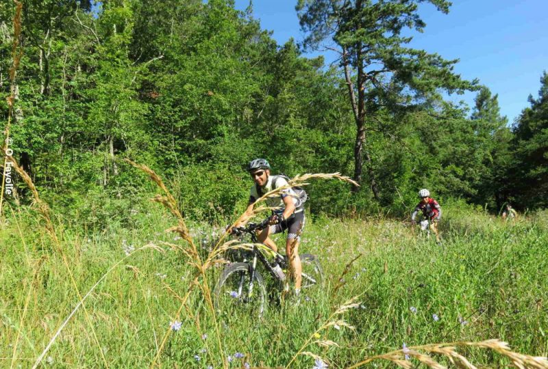 Sentier VTT Sur les traces de l’Abbaye d’Aiguebelle – 4 à Grignan - 1