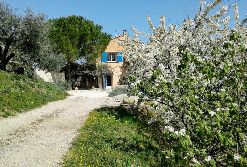 Bleu du Calvaire à Mirabel-aux-Baronnies - 1