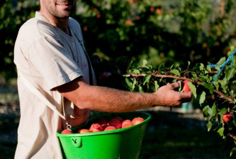 Les Fruits d’une Passion à Eygaliers - 1