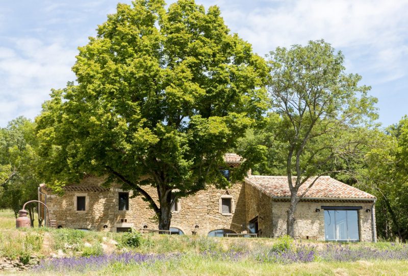 The elegance of Provençal Lavender à Grignan - 6