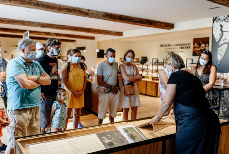 Boutique de la fabrique et Institut de la Truffe PLANTIN à Puyméras - 7