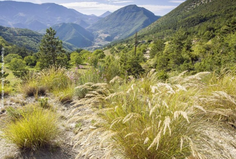 Le col de Lauzat à Saint-Nazaire-le-Désert - 7