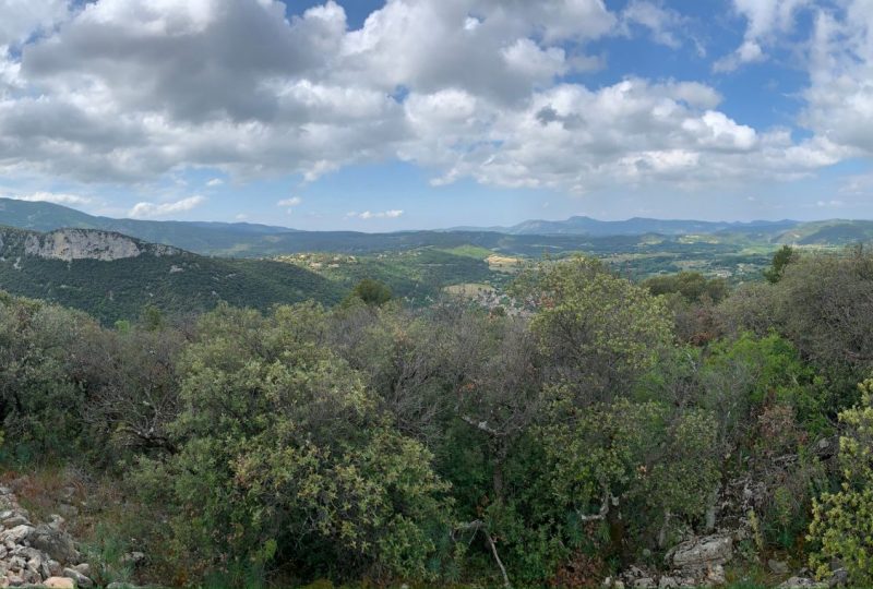 MOLLANS-SUR-OUVEZE – Baume des Eyguiers à Mollans-sur-Ouvèze - 1