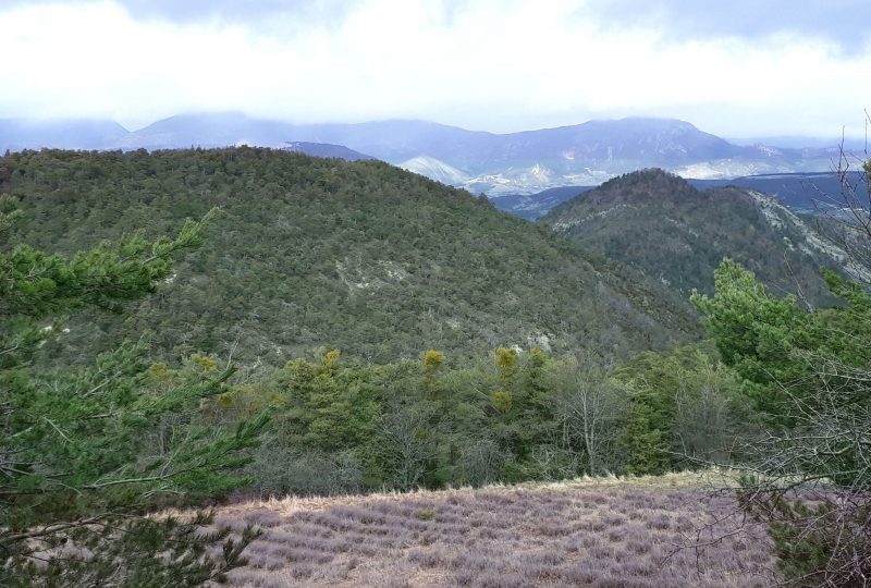 Le Reychasset à Villebois-les-Pins - 1