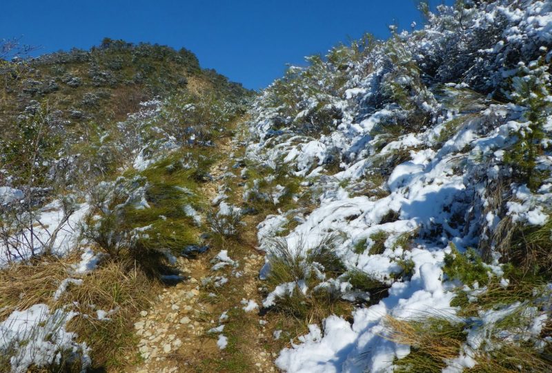 Le Reychasset à Villebois-les-Pins - 2