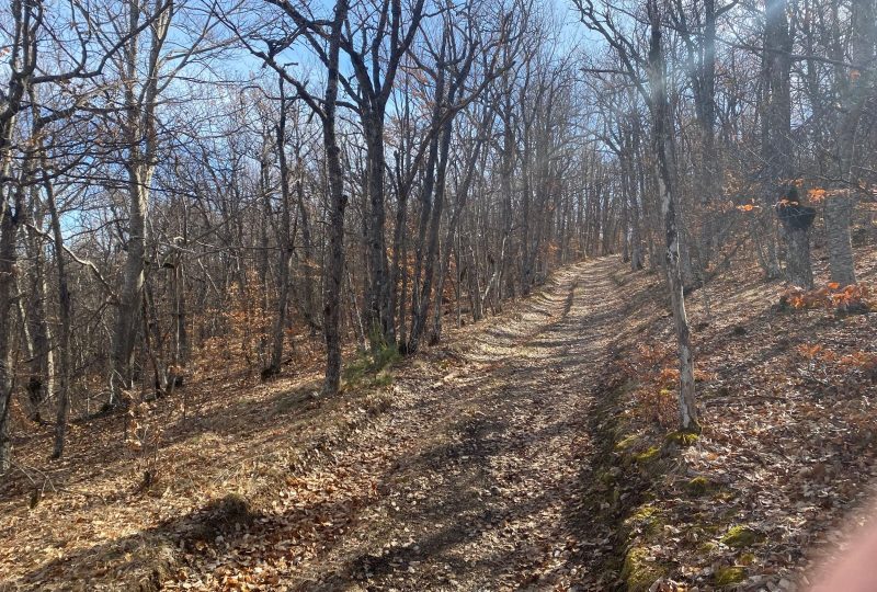 Tour de la montagne du Riable by VTT à Éourres - 3