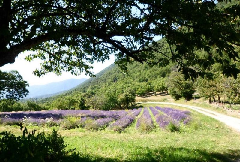 LE DEVES à Montjoux - 0