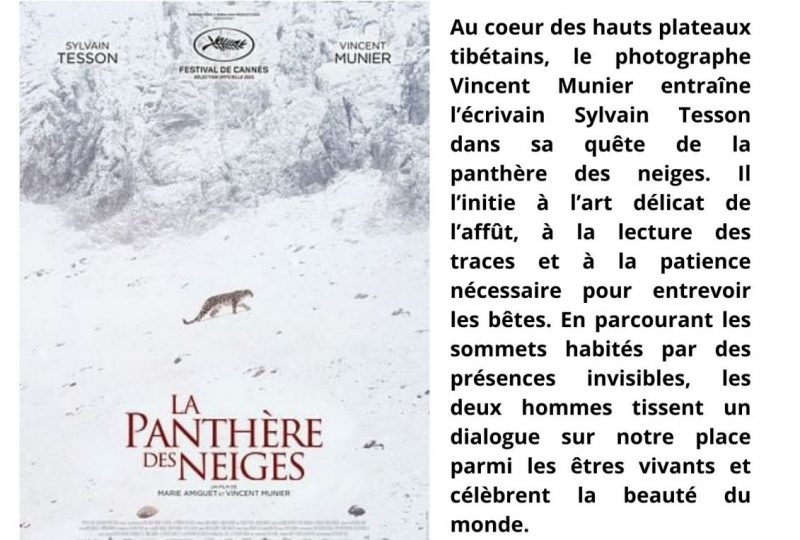 Les docs de Grillon diffuse La panthère des neiges à Grillon - 0