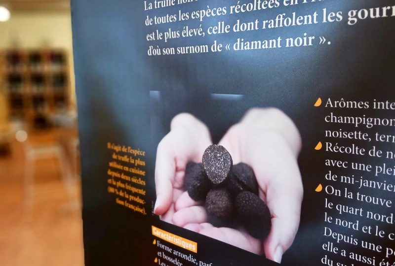 Exposition “Histoire de truffes” à Saint-Paul-Trois-Châteaux - 0