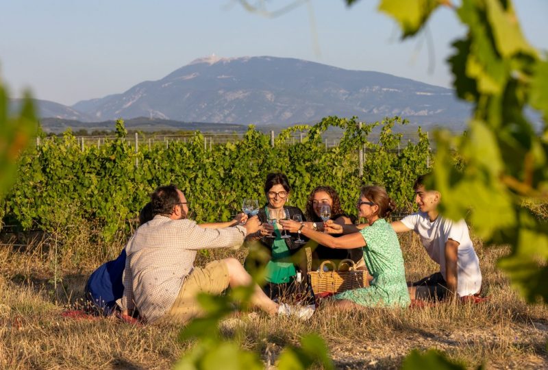 Secrets de vignes et saveurs – Enclave des Papes à Valréas - 0