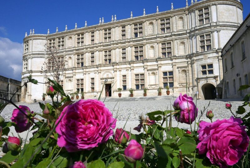 Histoires de Roses à Grignan - 2