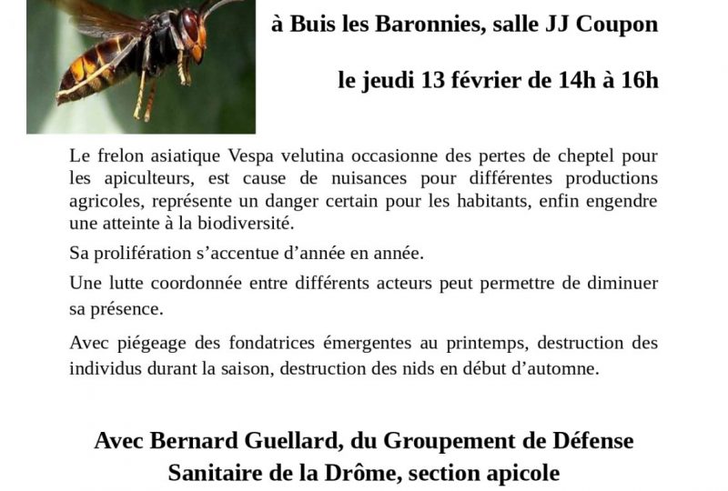 Réunion d’information : lutte coordonnée contre le frelon asiatique à Buis-les-Baronnies - 0