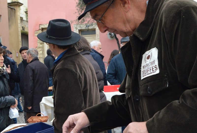 Trufficulteur Duffés Gilles à Saint-Restitut - 0