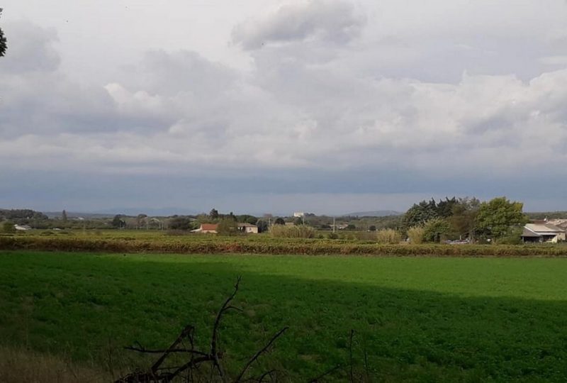 R10 A la découverte de la campagne Grillonnaise à Grillon - 4