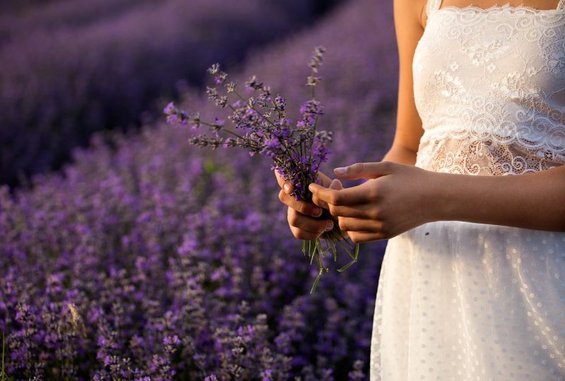 The elegance of Provençal Lavender à Grignan - 0