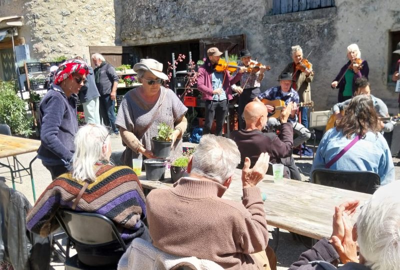 Foire aux plantes à La Roche-sur-le-Buis - 1