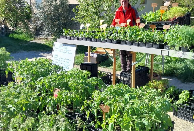 Foire aux plantes à La Roche-sur-le-Buis - 2