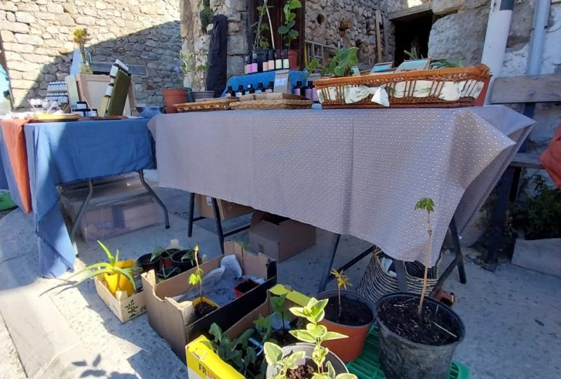 Foire aux plantes à La Roche-sur-le-Buis - 3