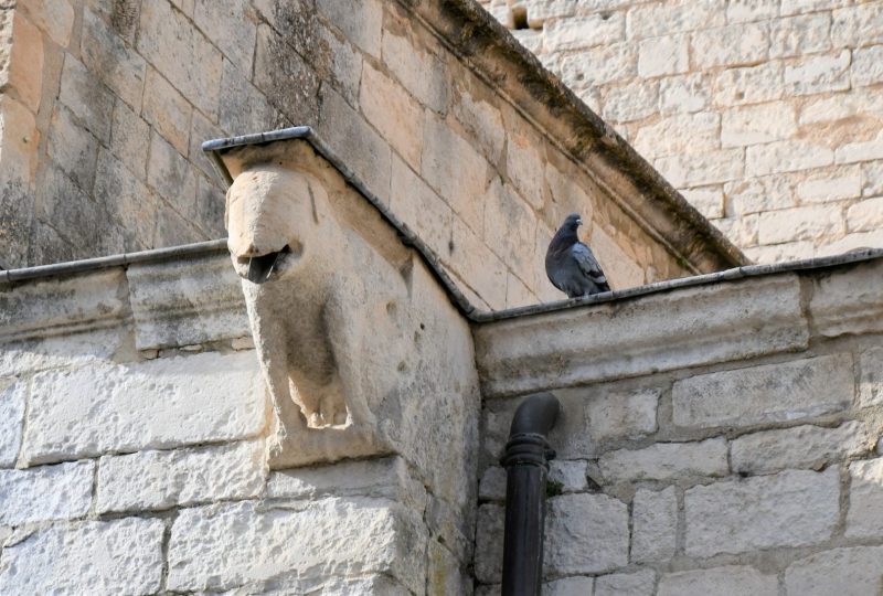 Cathédrale Notre Dame à Saint-Paul-Trois-Châteaux - 3