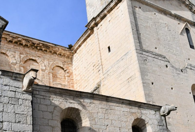 Cathédrale Notre Dame à Saint-Paul-Trois-Châteaux - 5