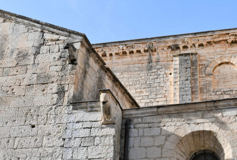 Cathédrale Notre Dame à Saint-Paul-Trois-Châteaux - 6