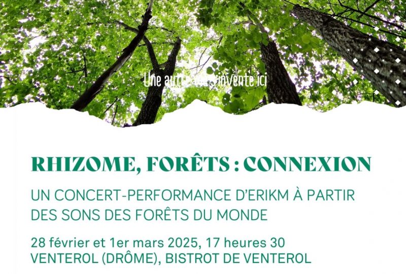 Rhizome, forêt : connexion à Venterol - 0