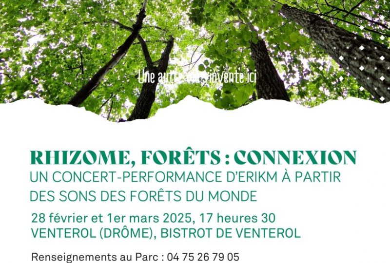 Rhizome, forêts : connexion à Venterol - 0