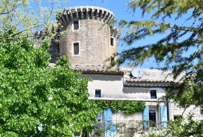 Remains of the Château de La Baume de Transit à La Baume-de-Transit - 2