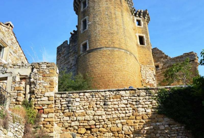 Remains of the Château de La Baume de Transit à La Baume-de-Transit - 1