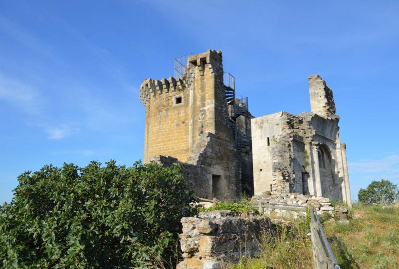 Remains of the Château de La Baume de Transit à La Baume-de-Transit - 0