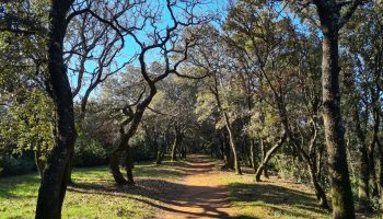 Parc de la Garenne_Suze-la-Rousse