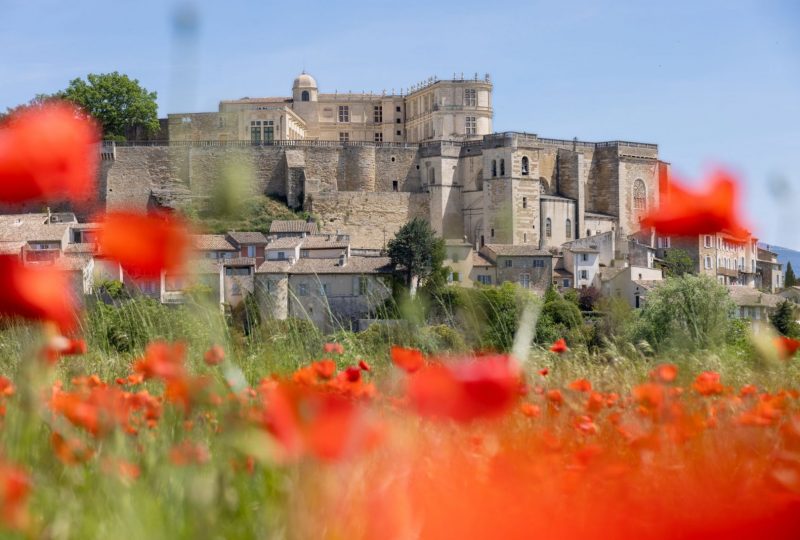 Sur les Pas de la Marquise à Grignan - 0