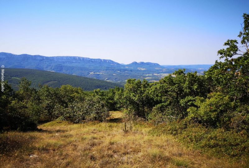 La montagne d’Eson à Pont-de-Barret - 3