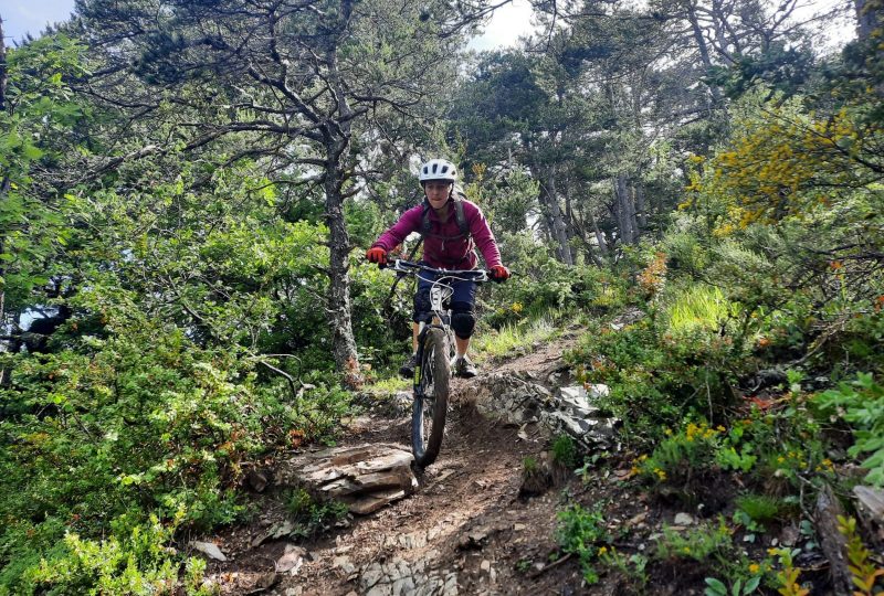 La descente de Veillanne à VTT (N°16) à Orpierre - 2