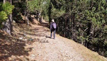 Sur le sentier de la truffe_Saint-Paul-Trois-Châteaux