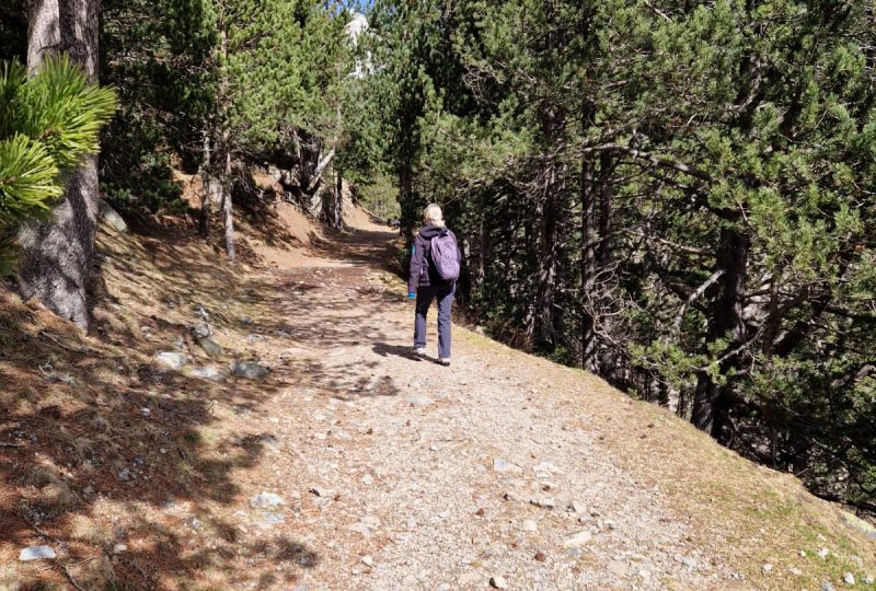 Sur le sentier de la truffe à Saint-Paul-Trois-Châteaux - 0