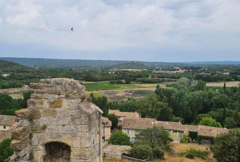 De silhouettes en silhouettes : Entre truffe et lavande à La Baume-de-Transit - 1