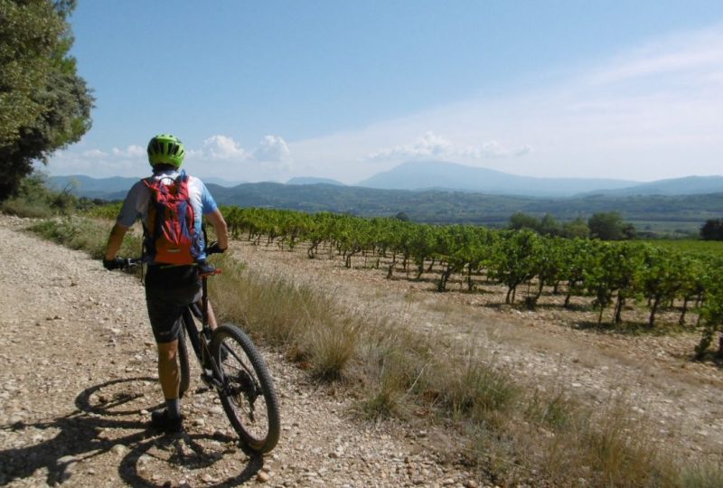 15 Vines and Panoramic views à Valréas - 0