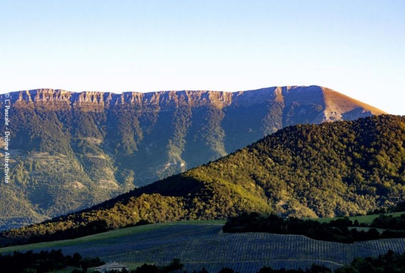 Montanègue à Saint-Nazaire-le-Désert - 7