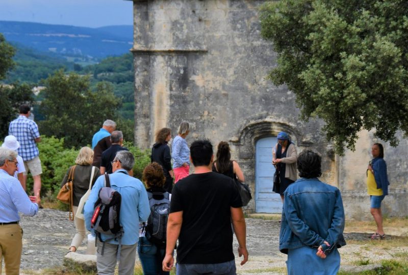 Visite commentée “Au pays de la pierre blanche” à Saint-Restitut - 0