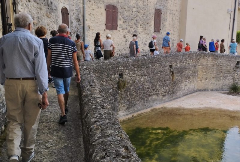 Visite commentée “Un joyau entre vignes et lavandes” à Solérieux - 0