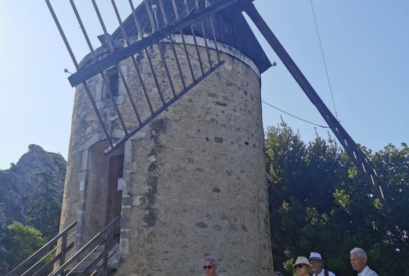 Visite commentée “Du moulin au rocher” à Pierrelatte - 0