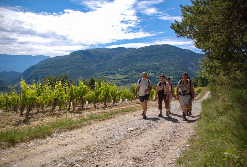 Rando en liberté… sur les pas des Huguenots (de Poët-Laval à Bourdeaux) à Le Poët-Laval - 0